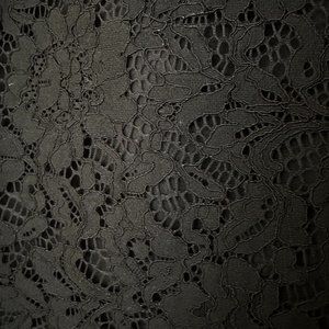 Who What Wear Black Lace Overlay Skirt, 20W